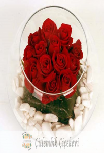 fanus cam vazo içerisinde 15 adet kırmızı gül